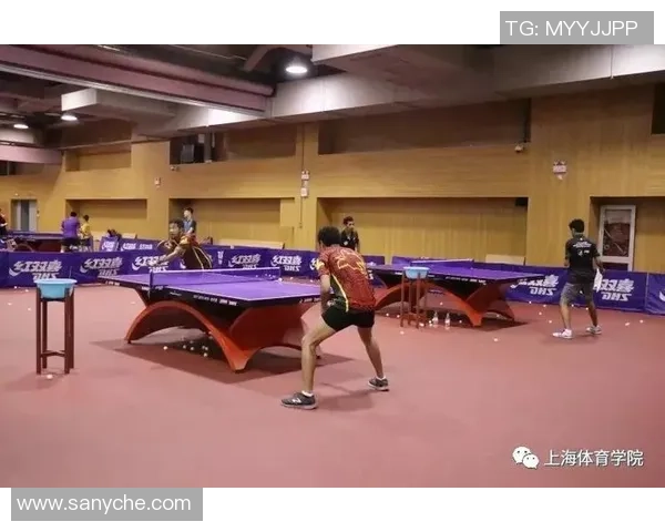上海羽毛球队挑战赛特别报道：从艰辛到辉煌的奋斗历程与突破之路